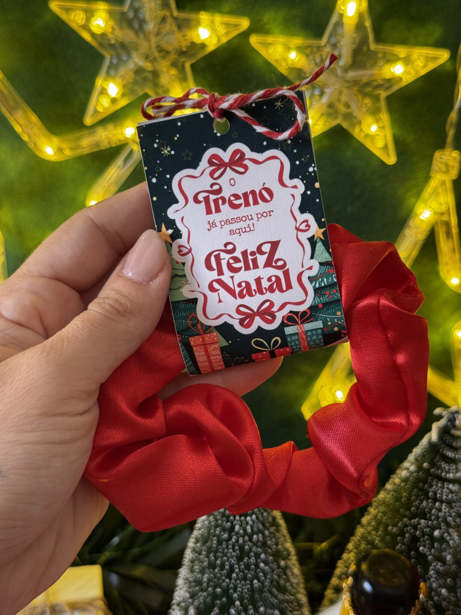 Coleção Digital NATAL 2025 - Imagem 25